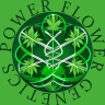 POWER FLOWER GENETICS