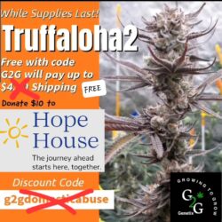 Trufflaloha2 Fem'z Free with $10 donation to The Hope House of KCMO to